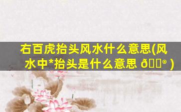右百虎抬头风水什么意思(风水中*
抬头是什么意思 💮 )